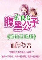 倾城绝色腹黑召唤师